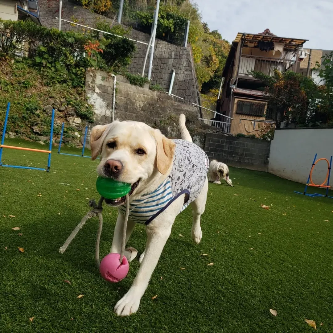 12月にはいりました。