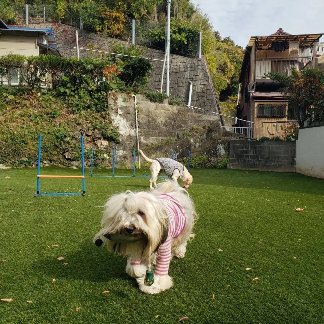12月にはいりました。