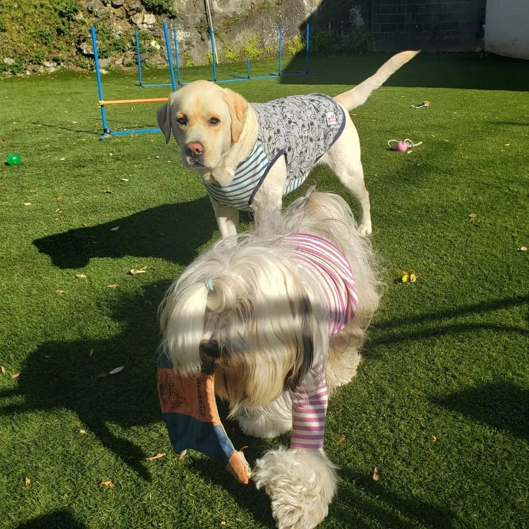 12月にはいりました。