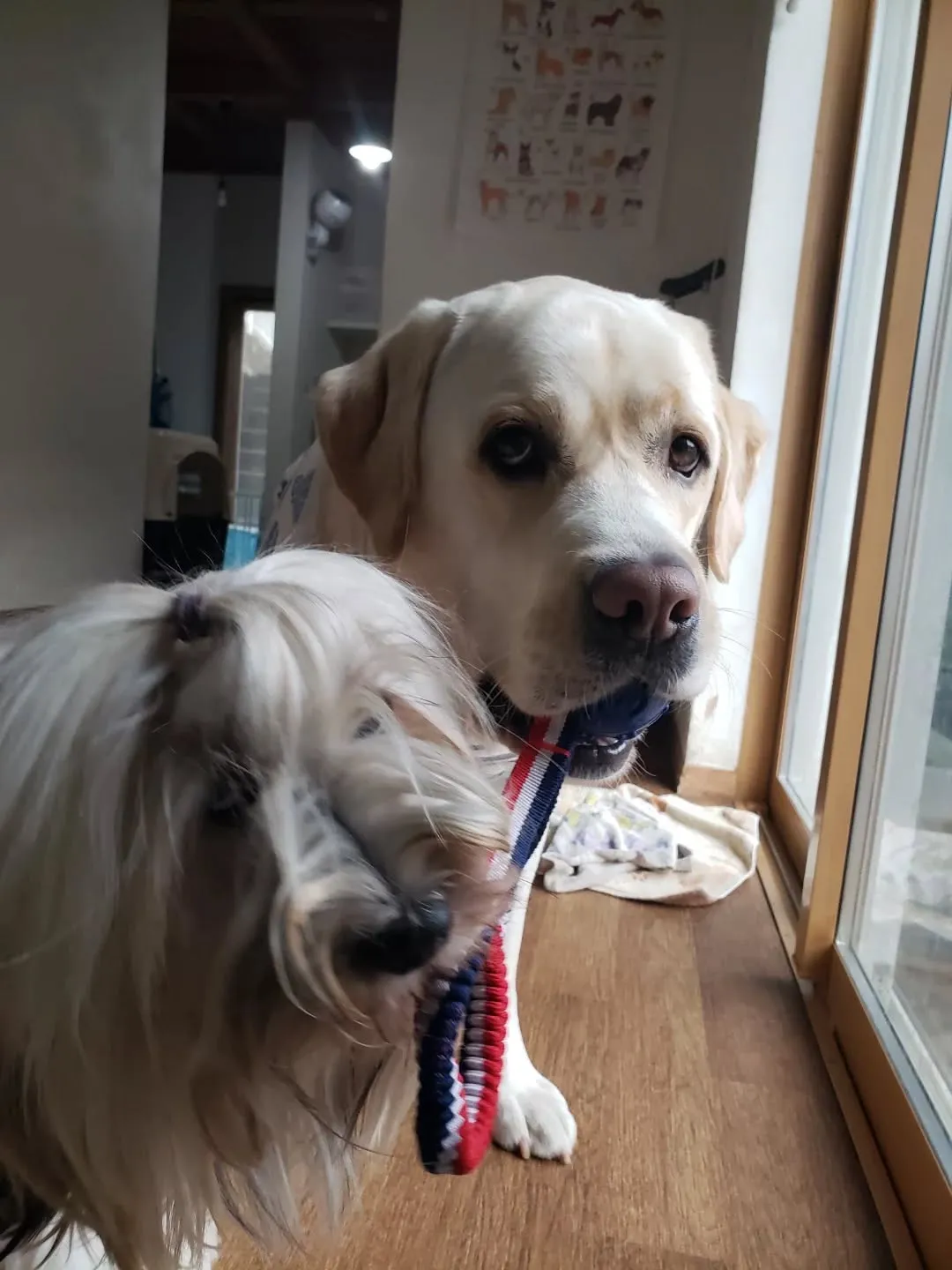 久しぶりに雨が降りました。