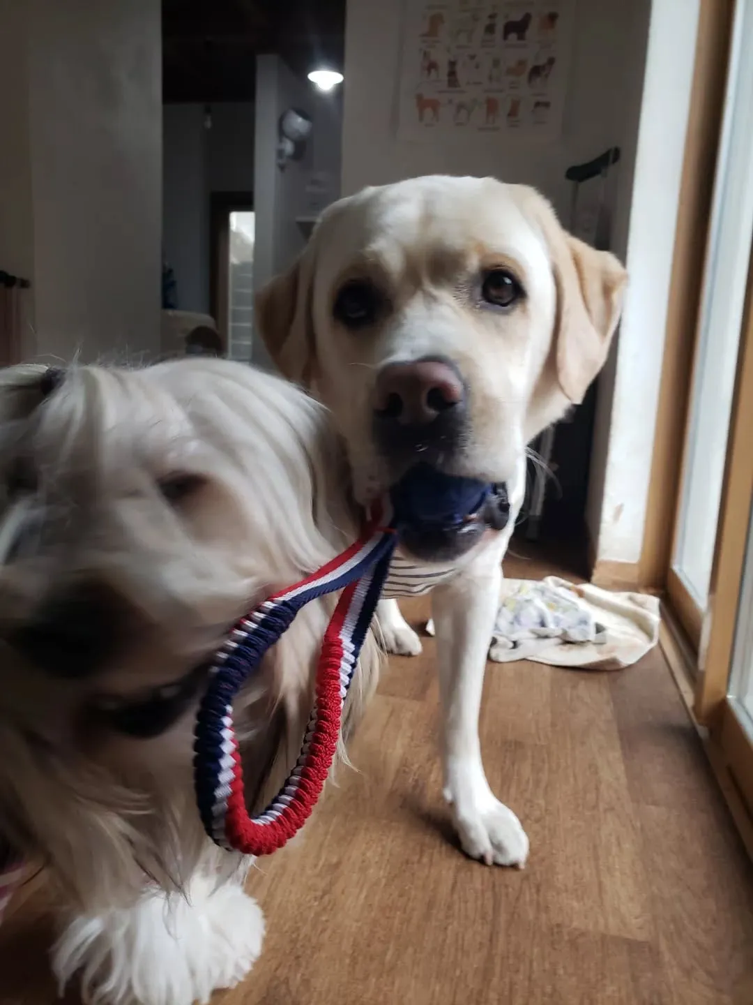 久しぶりに雨が降りました。