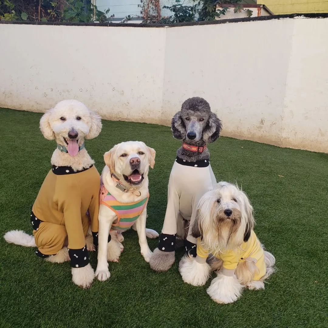 雨も止んでよいお天気になりました😊
