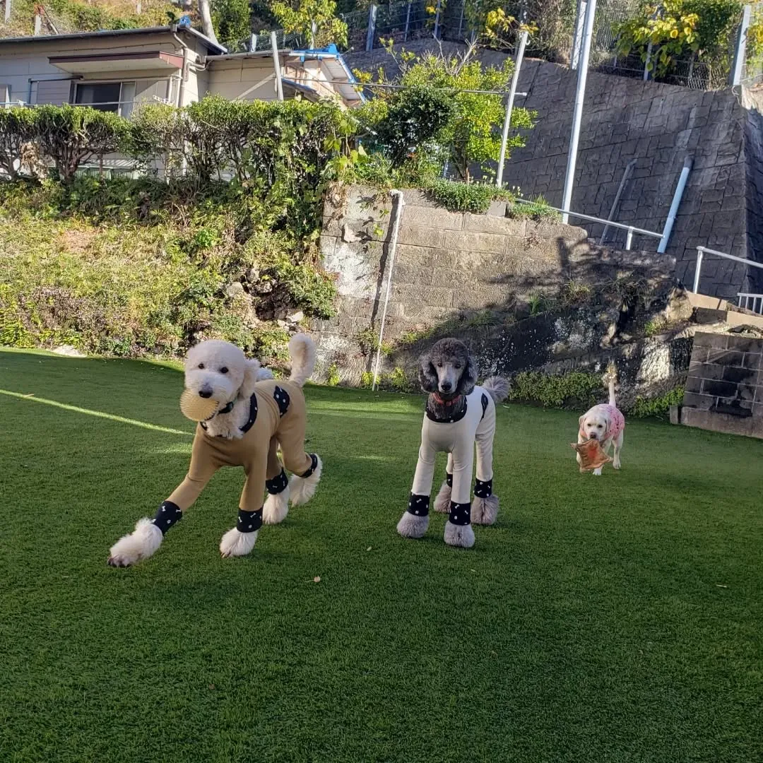 雨も止んでよいお天気になりました😊
