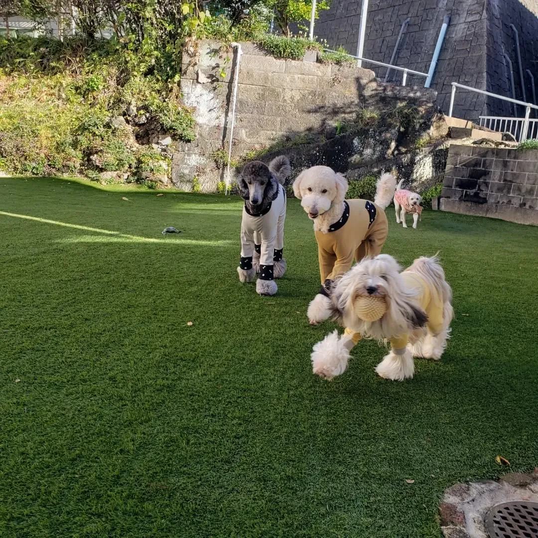 雨も止んでよいお天気になりました😊