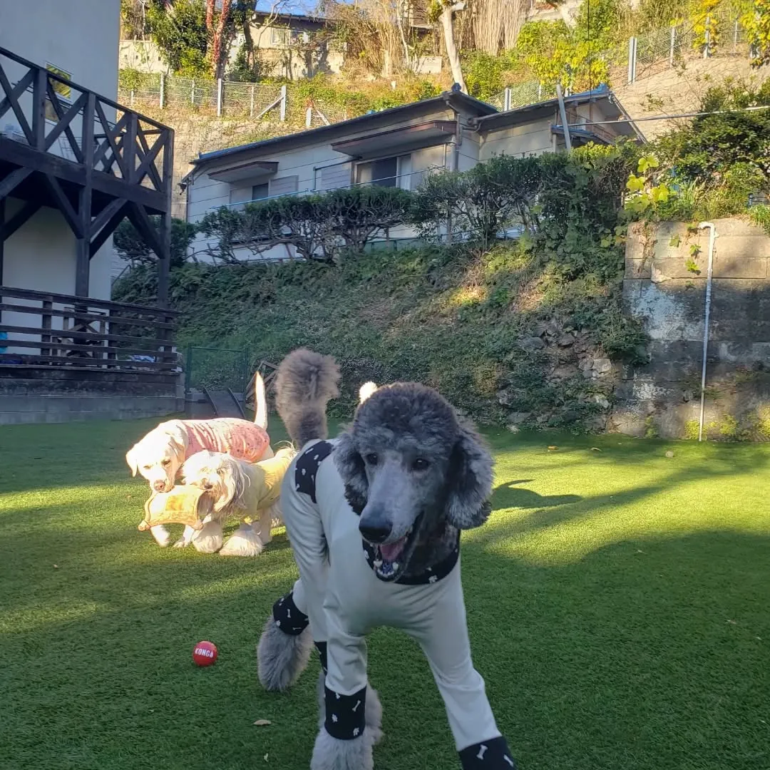 雨も止んでよいお天気になりました😊