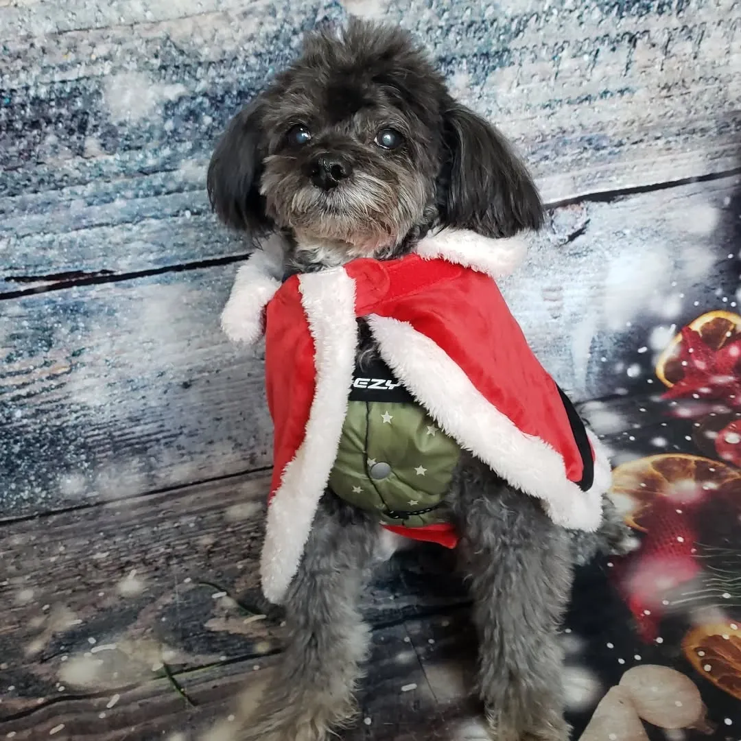 お決まりのクリスマス仮装🎄⛄️🎅