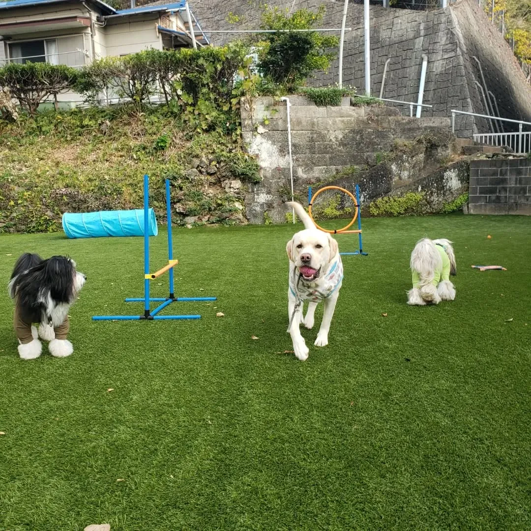 お天気かと思いきや雨が降ってきたりして不安定なお天気。