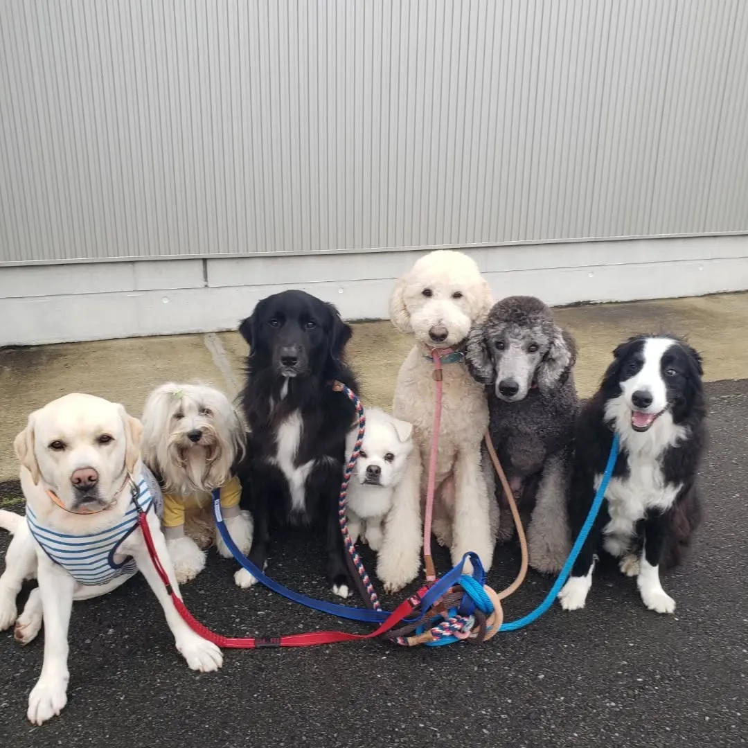 今年のクリスマスはわんぱく男子が集まりました❗