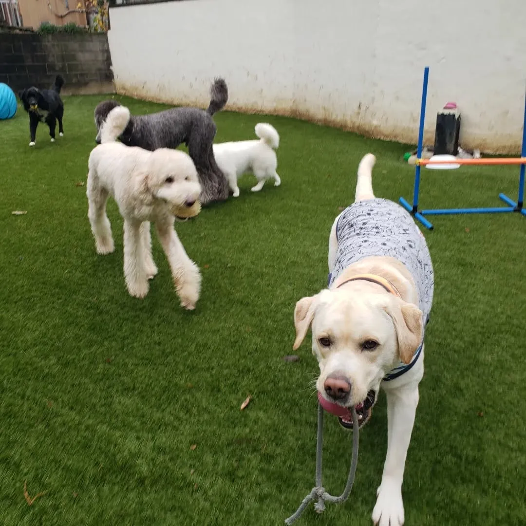今年のクリスマスはわんぱく男子が集まりました❗