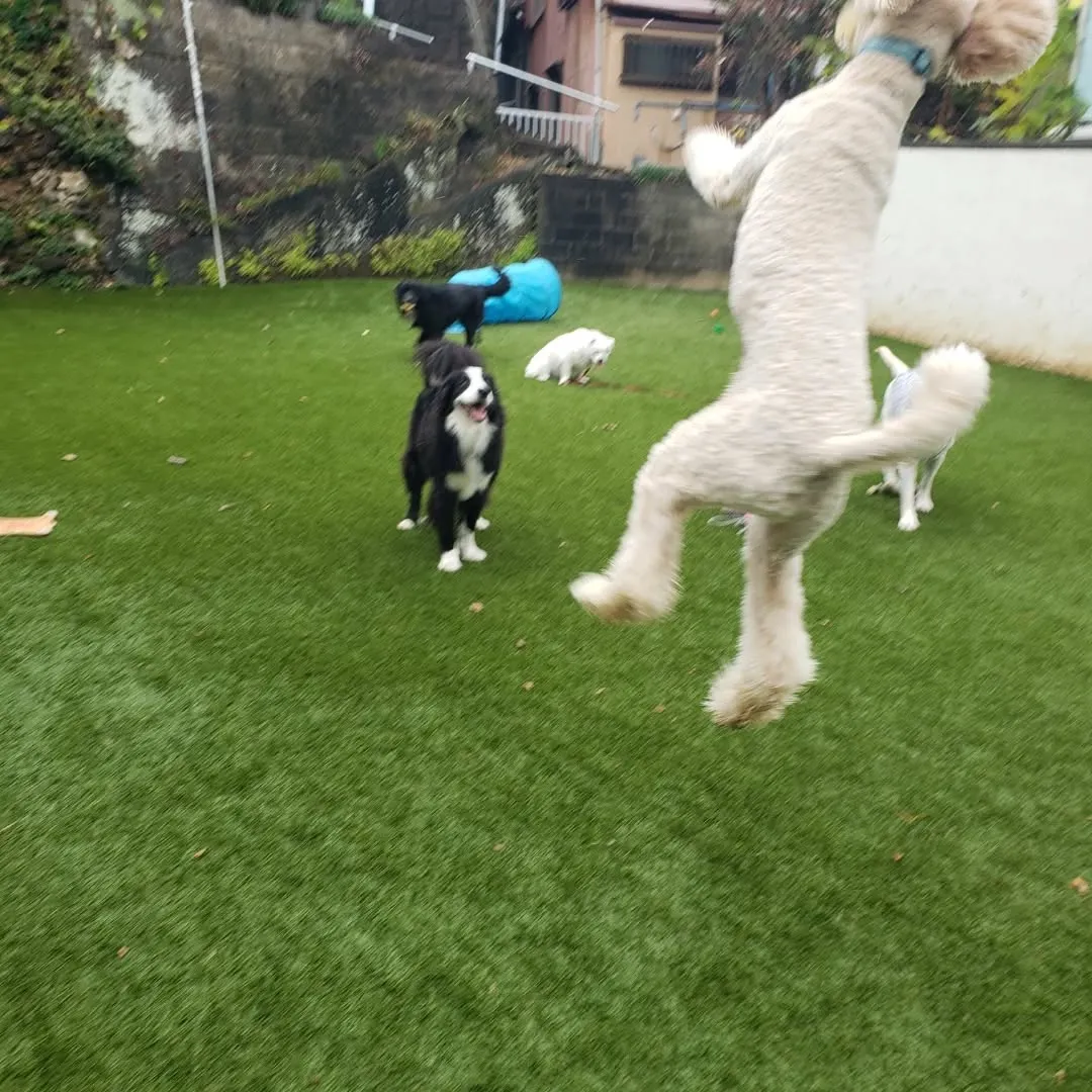 今年のクリスマスはわんぱく男子が集まりました❗