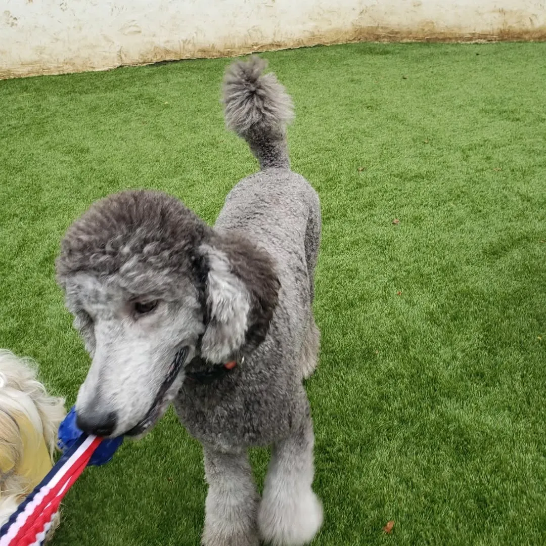 今年のクリスマスはわんぱく男子が集まりました❗