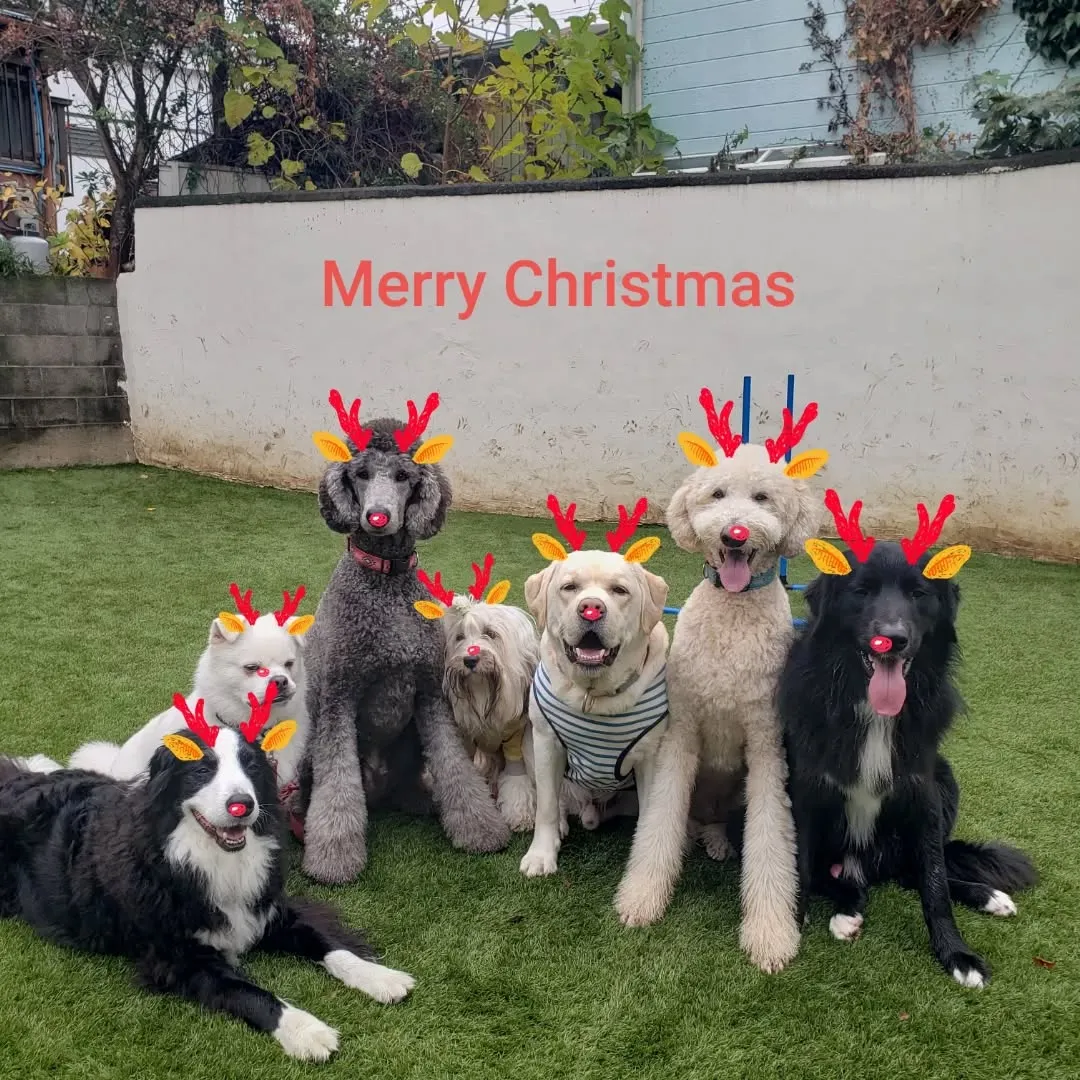 たっぷり遊んで過ごしたクリスマス🎄