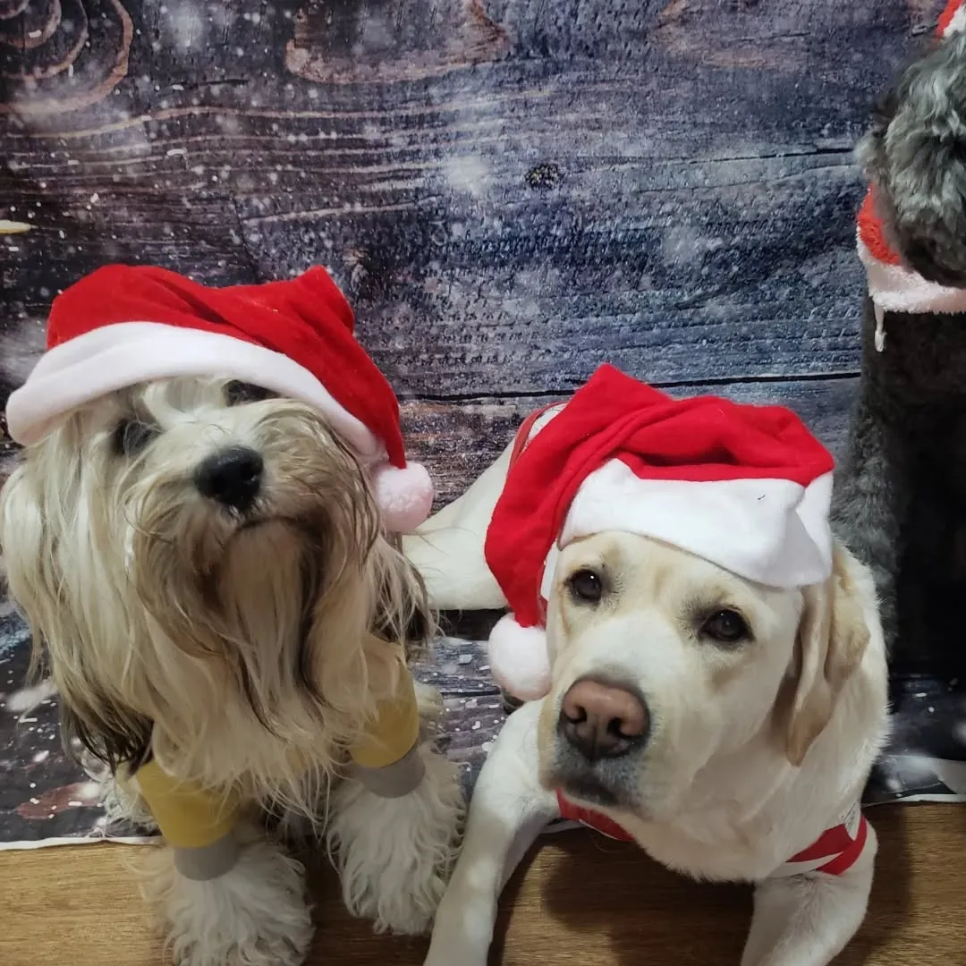 たっぷり遊んで過ごしたクリスマス🎄