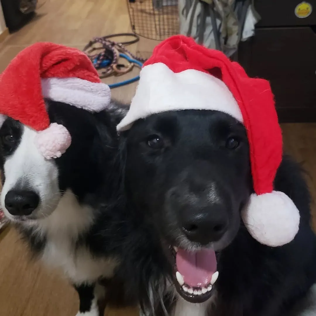 たっぷり遊んで過ごしたクリスマス🎄