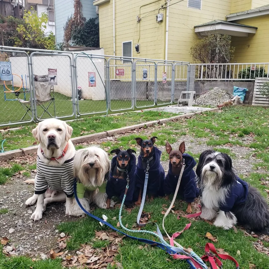 気温も低くて寒いですがお散歩へ行ってきました😊