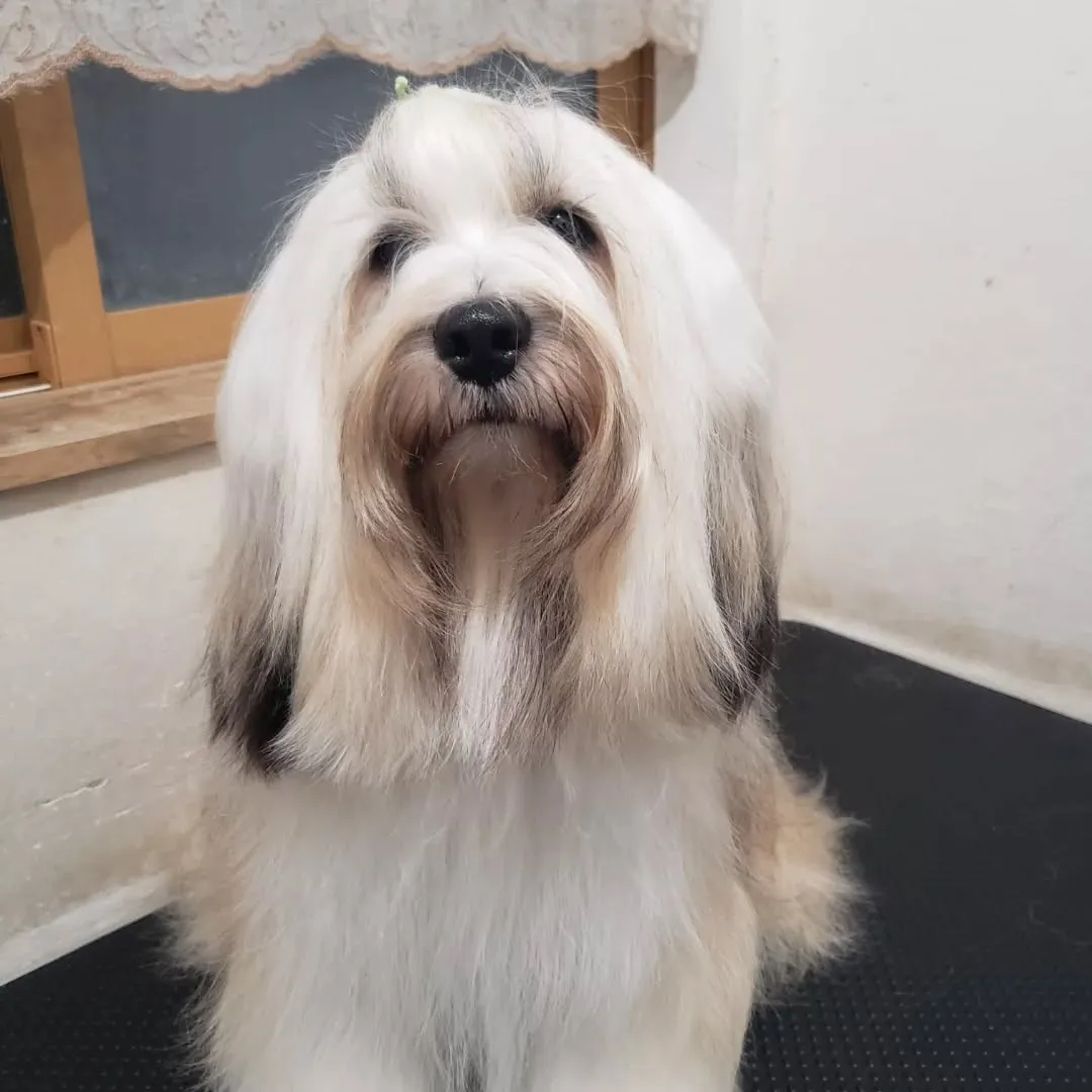 今年最後のシャンプー🎵