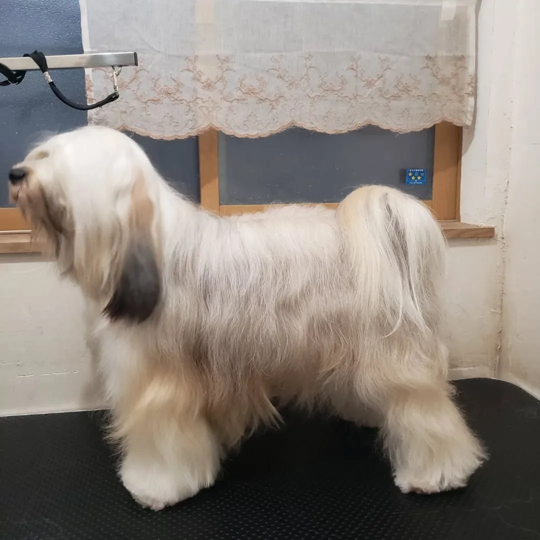 今年最後のシャンプー🎵