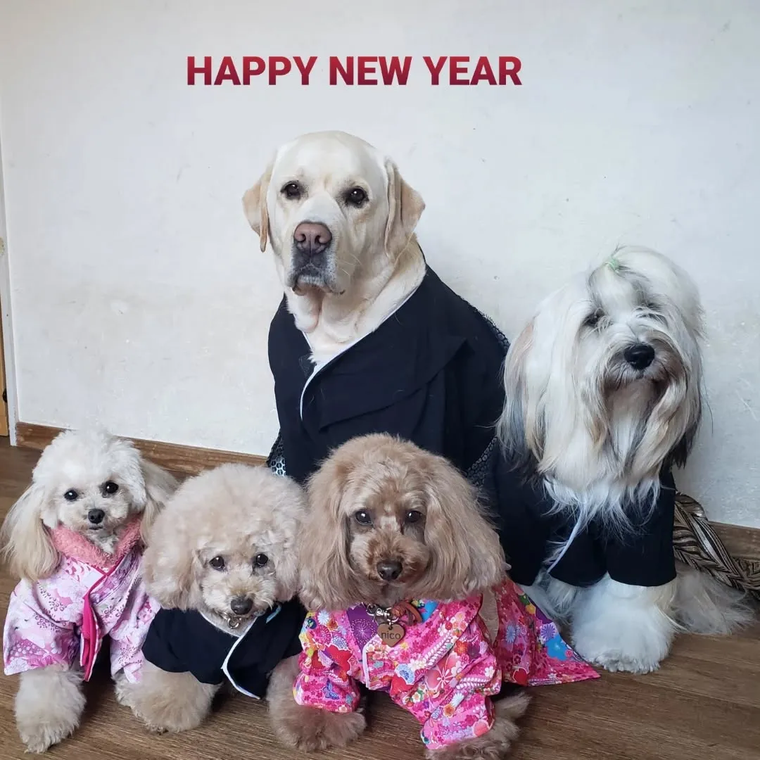 Happy New year 2026❗