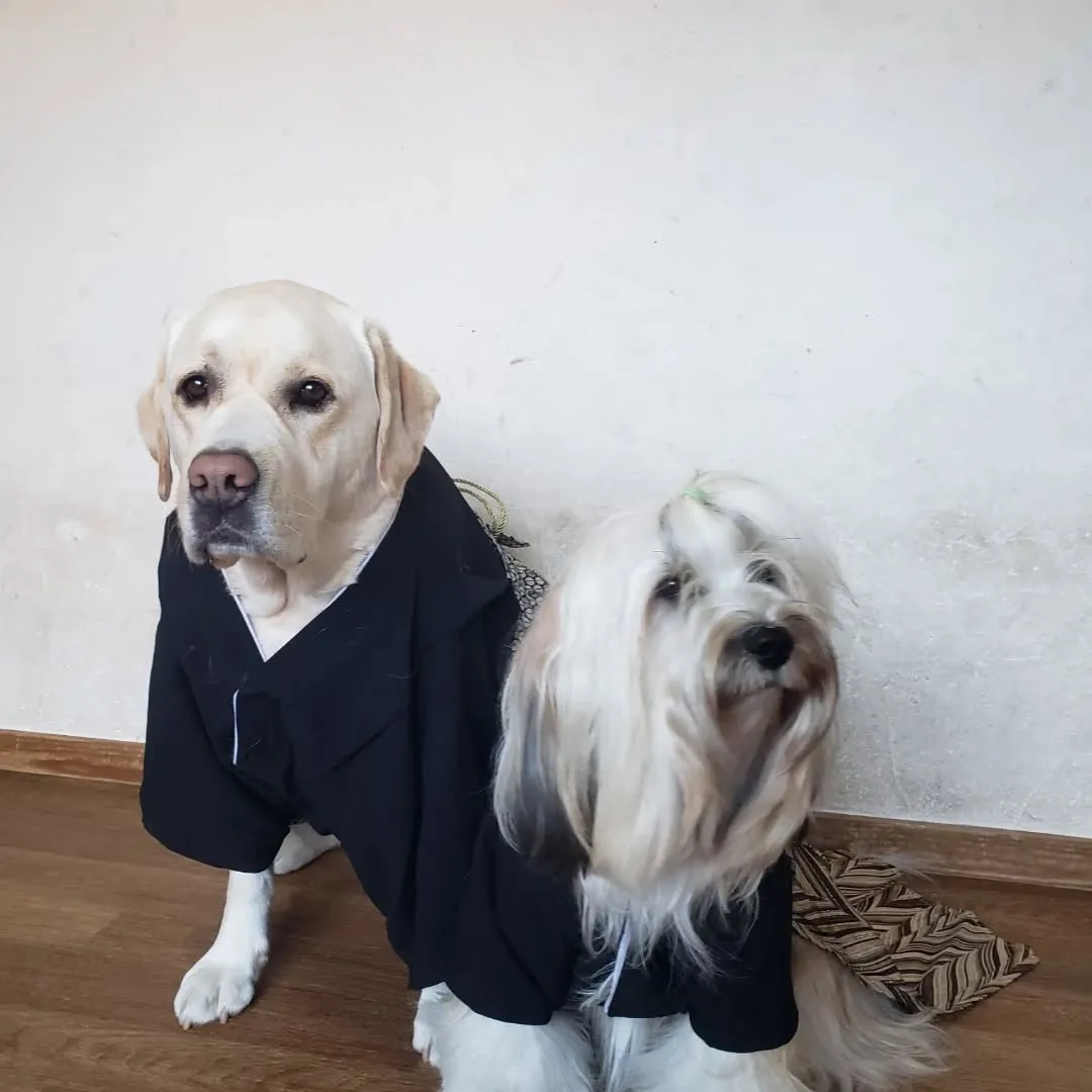 Happy New year 2026❗