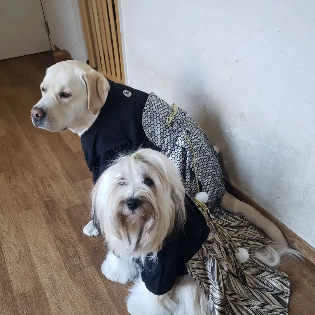 Happy New year 2026❗