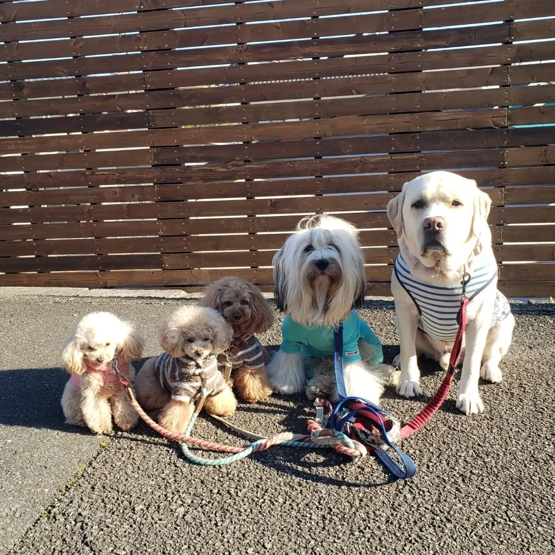 Happy New year 2026❗