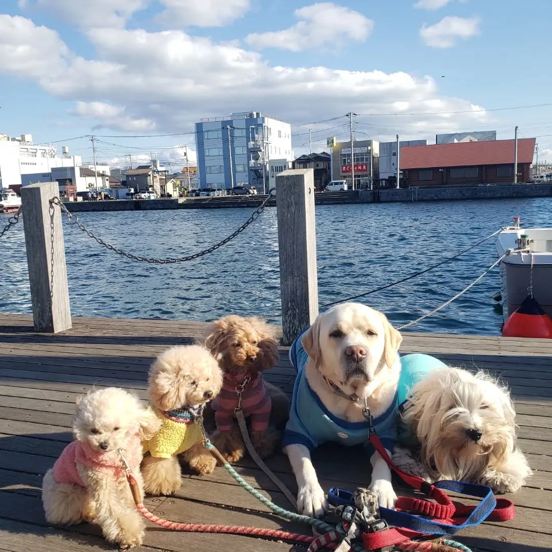 みんなで三崎まで🎵