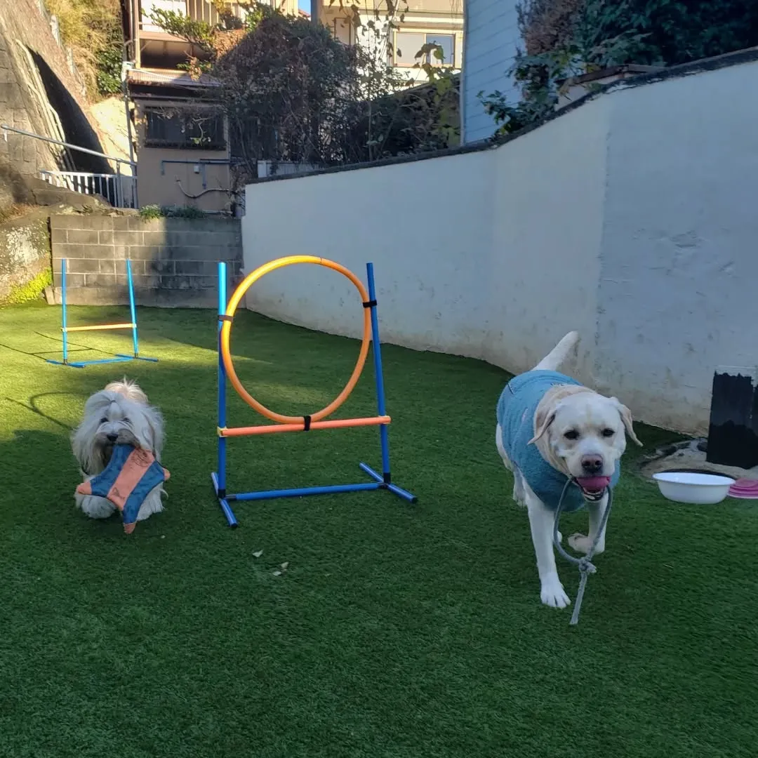 お昼すぎまでたまったお仕事を片付けたり打ち合わせに行ったりで...