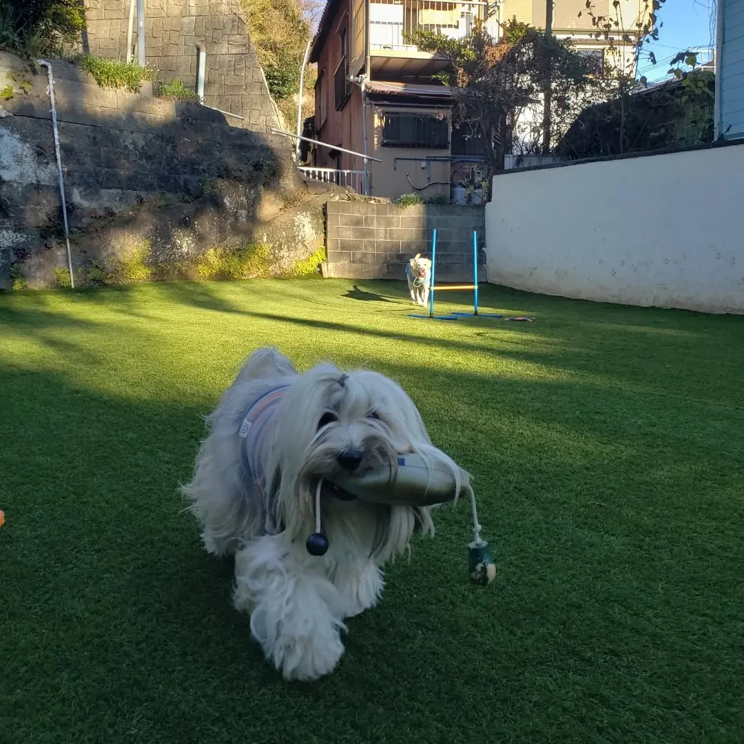 お昼すぎまでたまったお仕事を片付けたり打ち合わせに行ったりで...