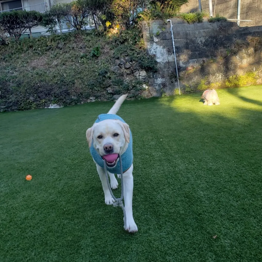 お昼すぎまでたまったお仕事を片付けたり打ち合わせに行ったりで...