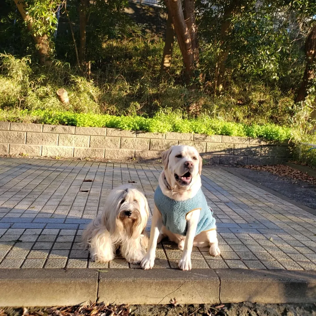 お昼すぎまでたまったお仕事を片付けたり打ち合わせに行ったりで...