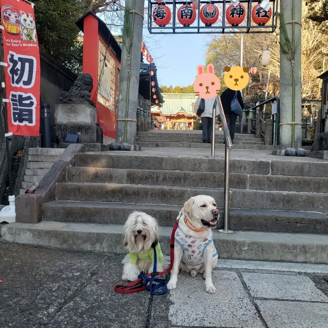 ランでたっぷり遊んだ後は海南神社へ行ってきました😊