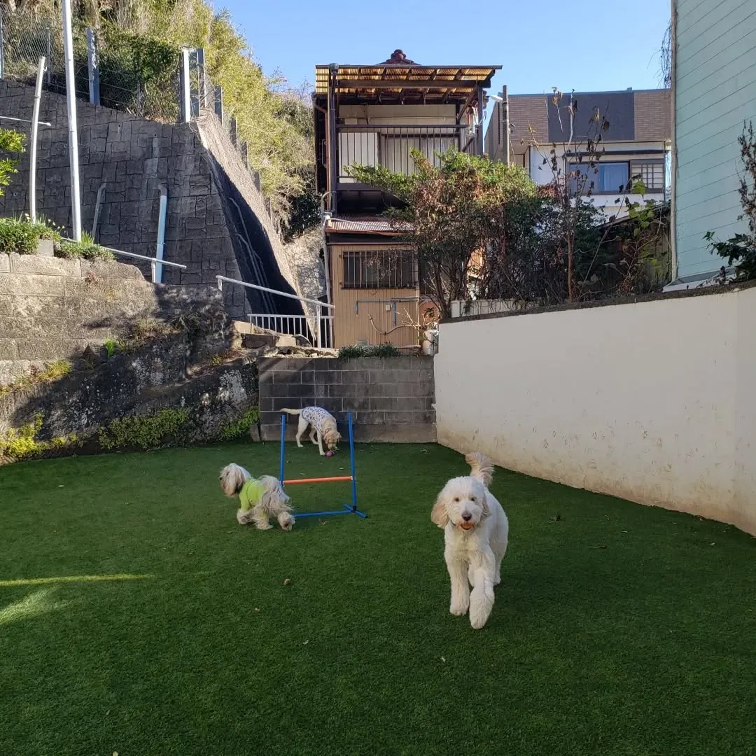 朝は少し寒かったけれどみんなでお散歩へ🎵