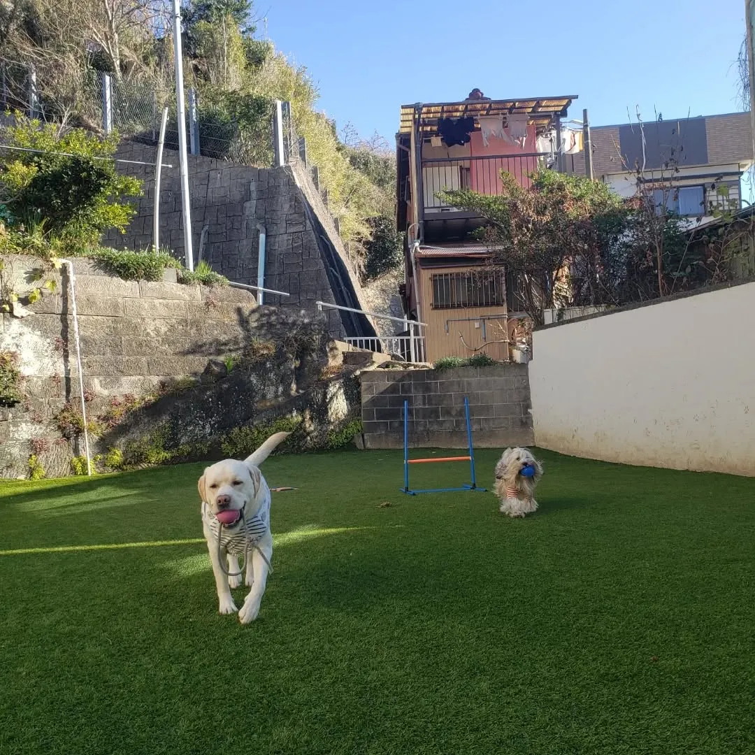確定申告の準備やらで事務仕事がたくさん😓