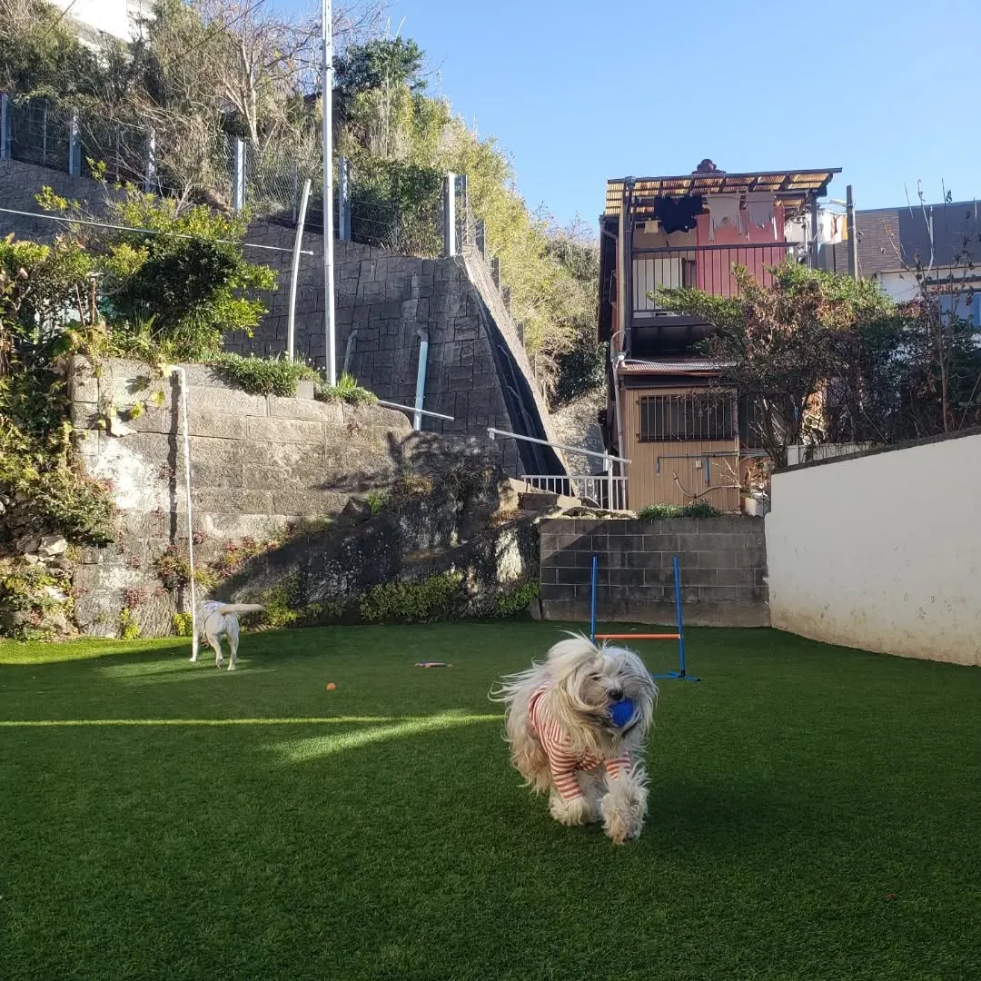 確定申告の準備やらで事務仕事がたくさん😓