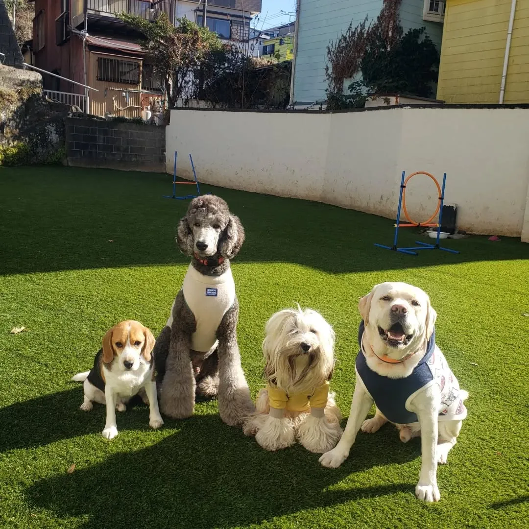 わんぱくメンバー集まりました😊