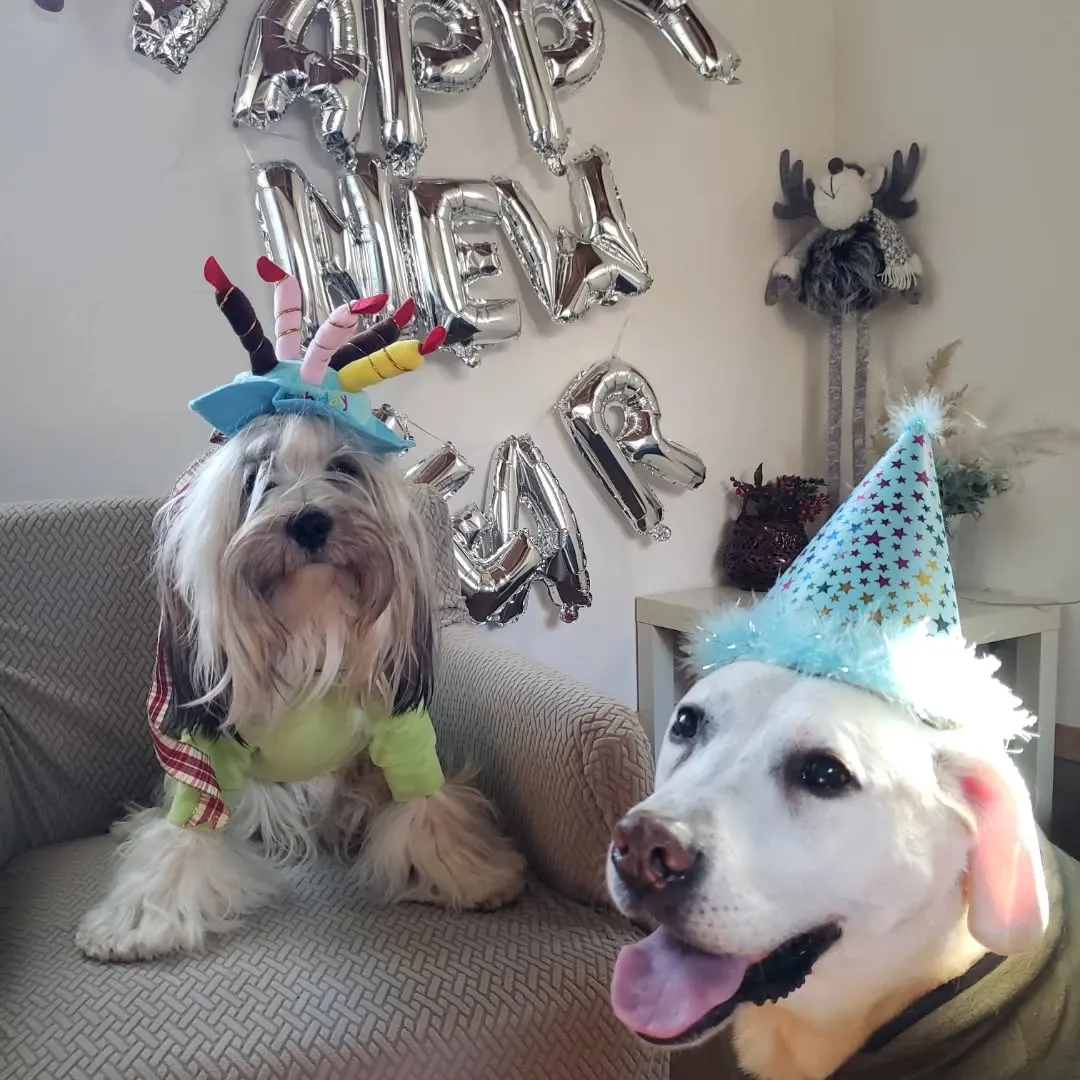 お誕生日会と着物撮影会💗