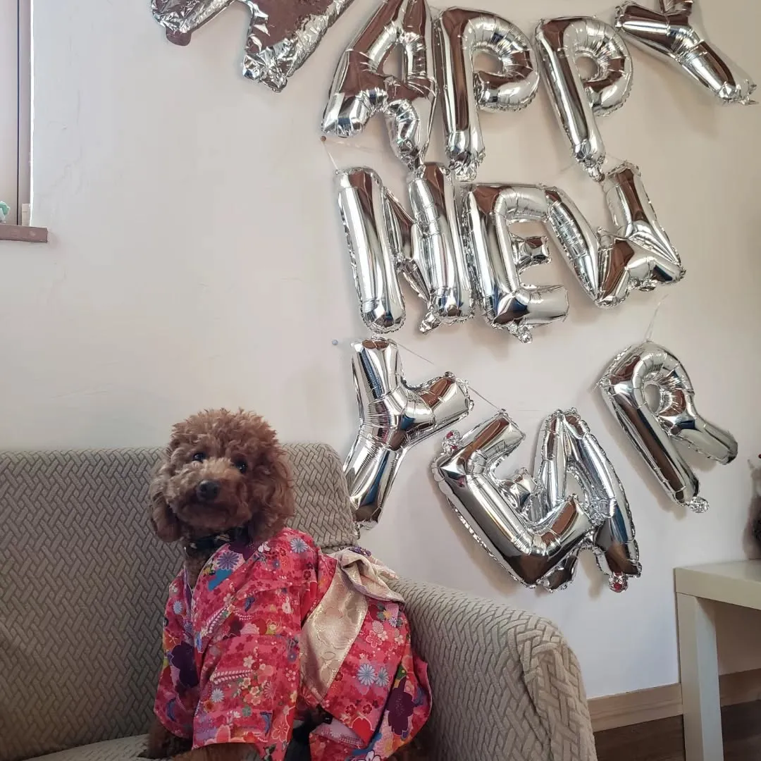 お誕生日会と着物撮影会💗