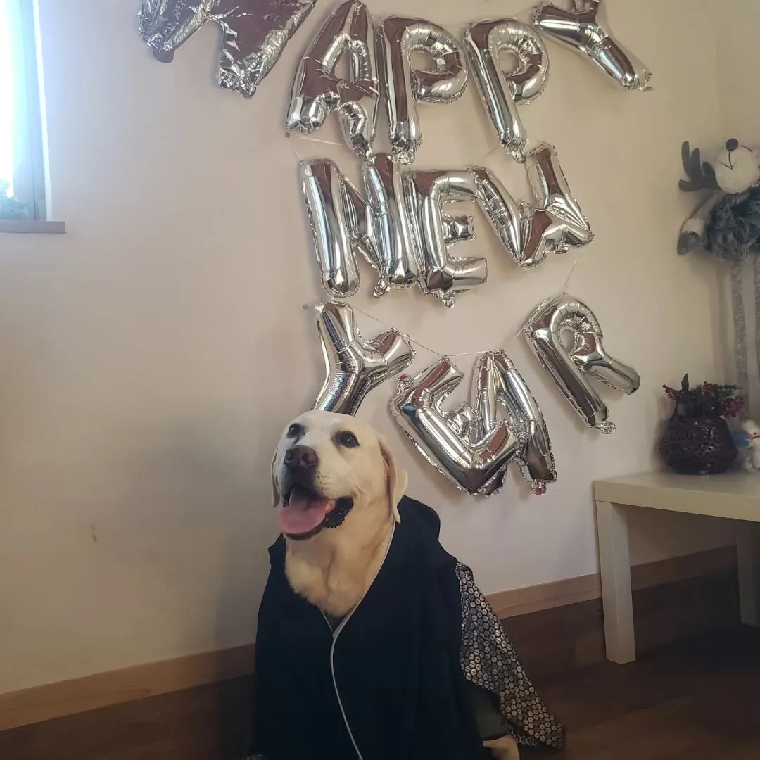 お誕生日会と着物撮影会💗