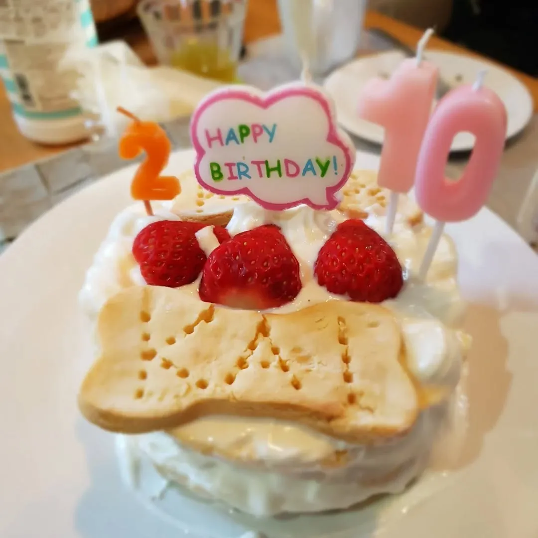 お誕生日会と着物撮影会💗