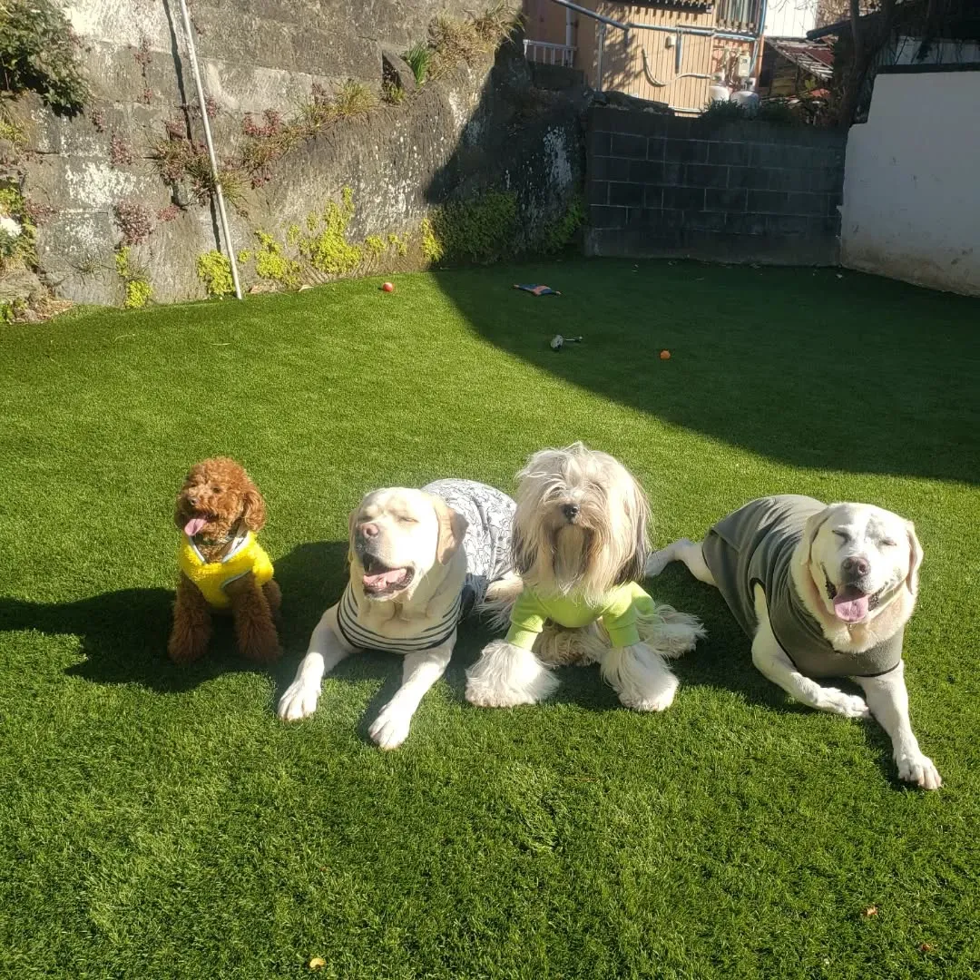 お誕生日会と着物撮影会💗