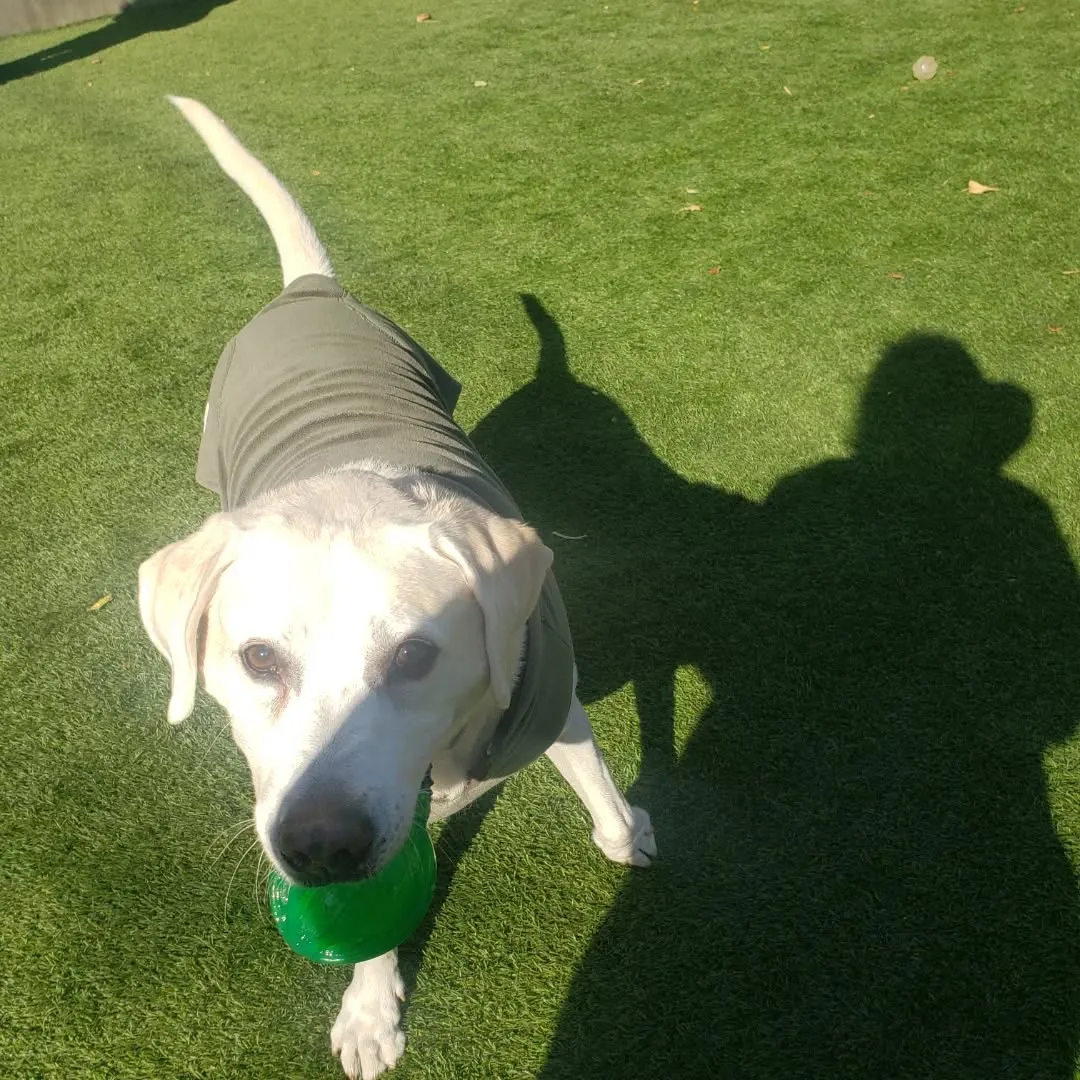 お誕生日会と着物撮影会💗