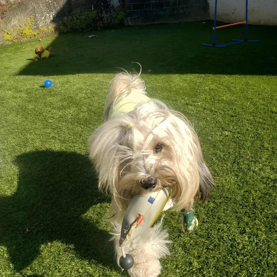 お誕生日会と着物撮影会💗