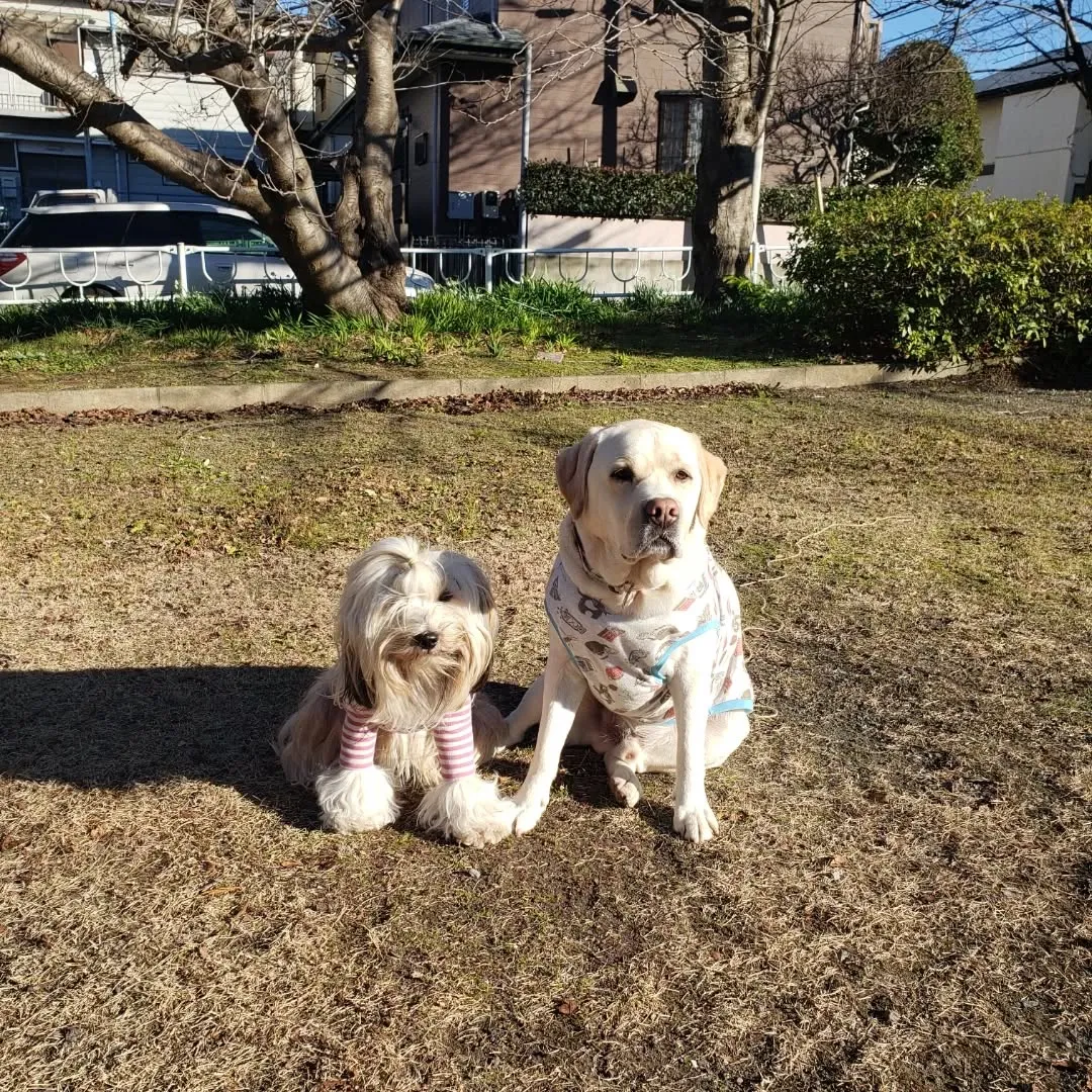 気温は低いけれど風がおさまってくれて良かったね😊