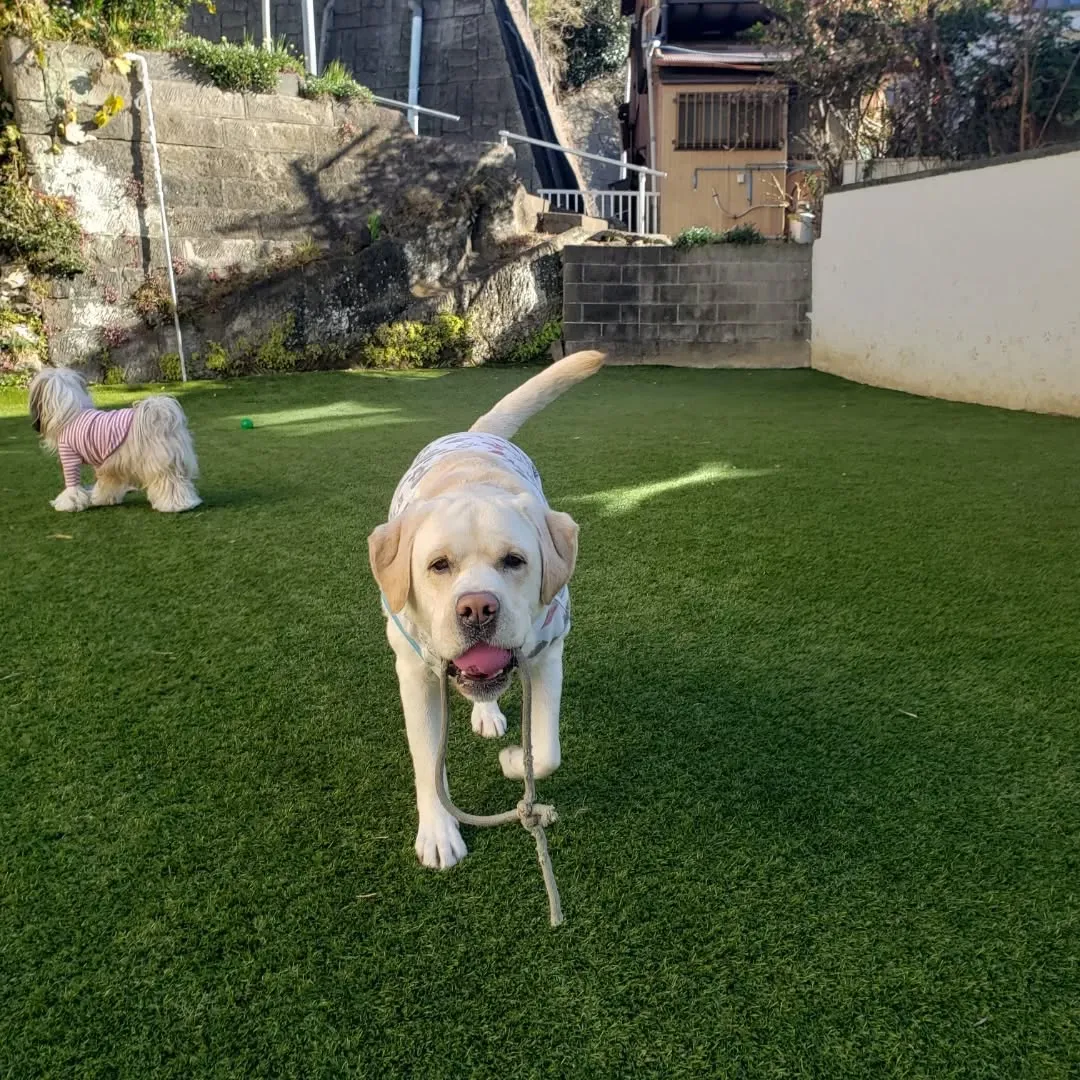 気温は低いけれど風がおさまってくれて良かったね😊