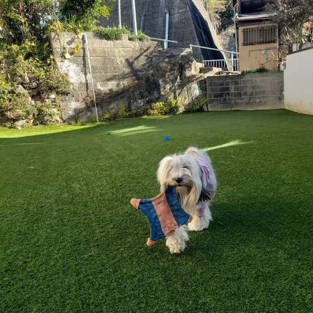 気温は低いけれど風がおさまってくれて良かったね😊