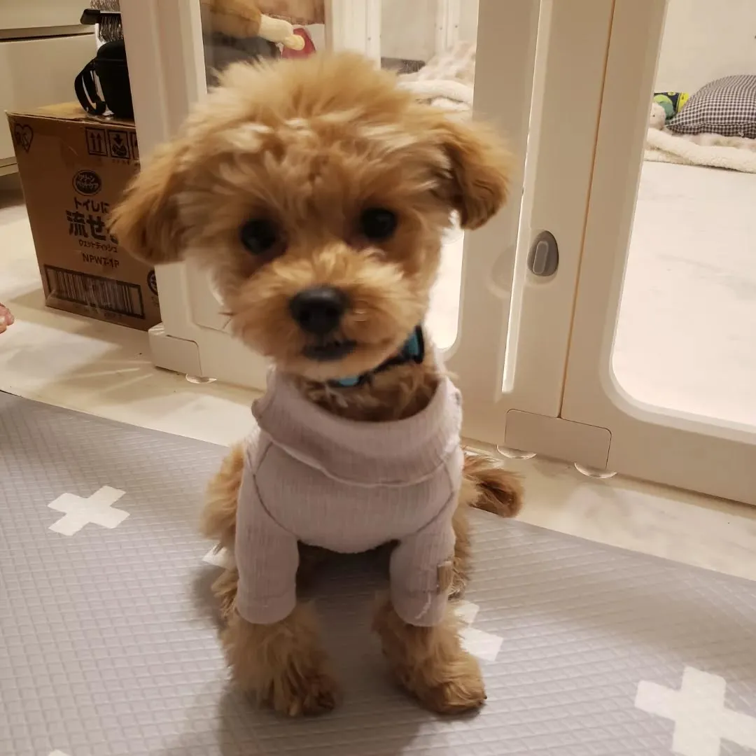 出張トレーニングに行ってきました😊