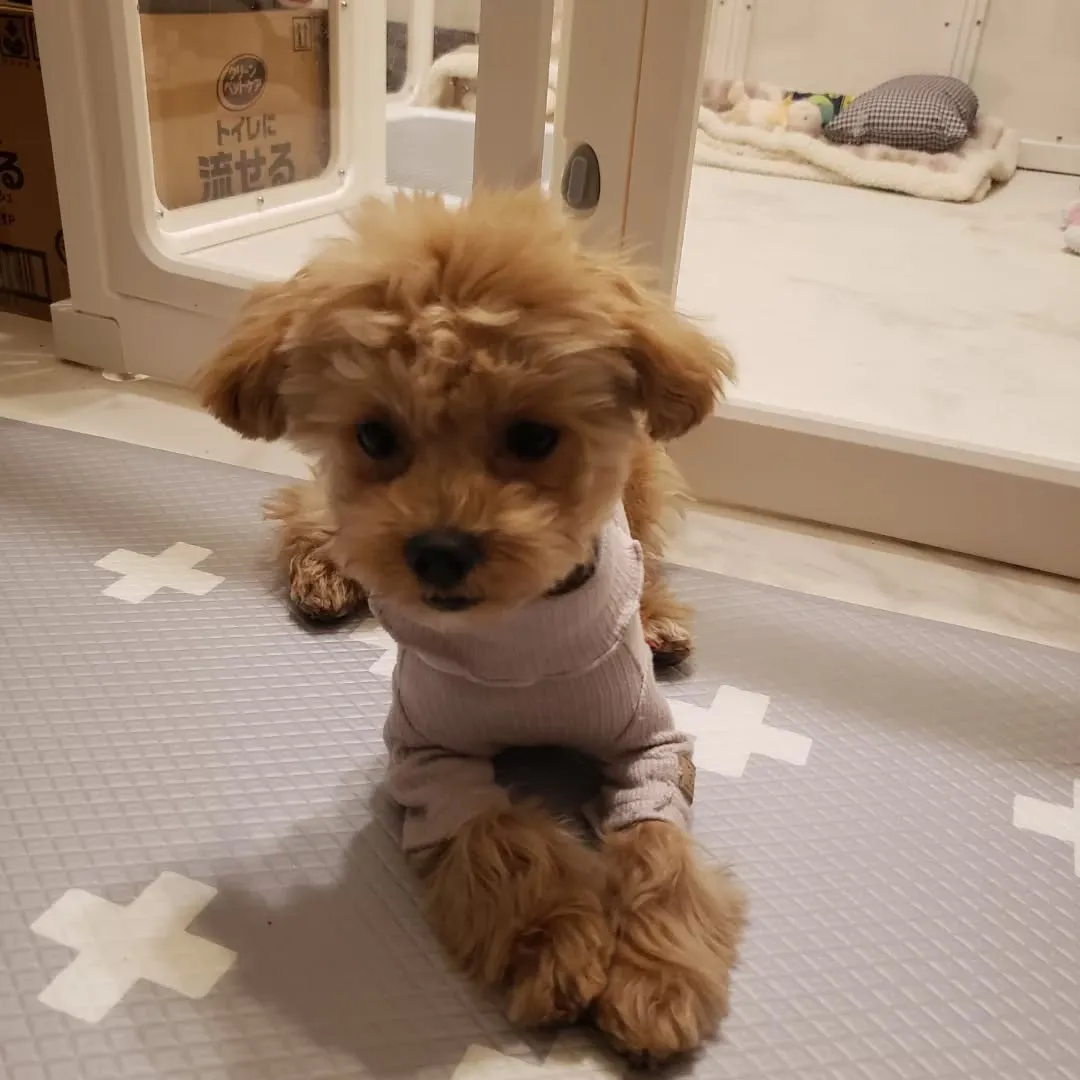 出張トレーニングに行ってきました😊