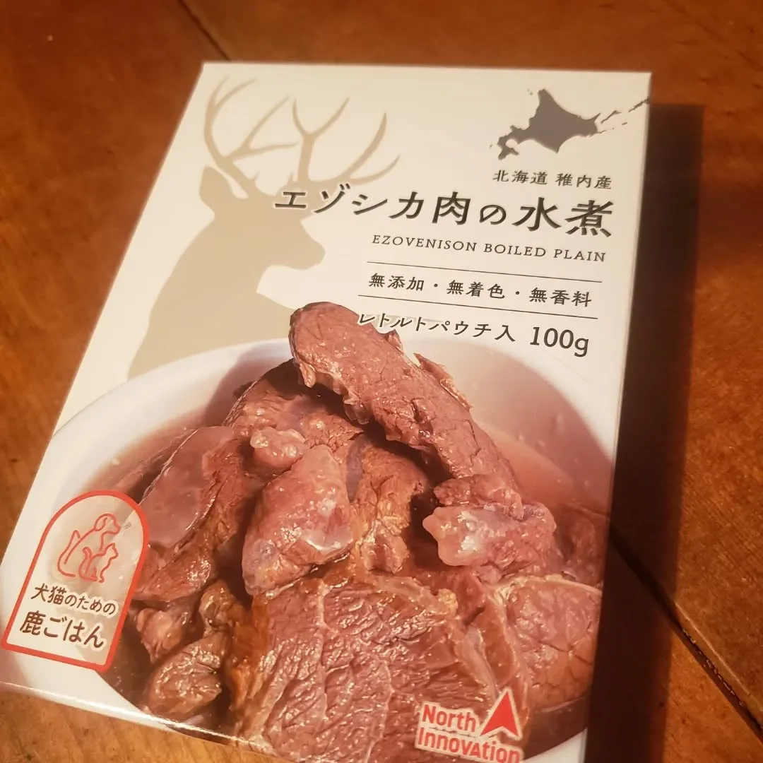 ロデイ2歳になりました😊