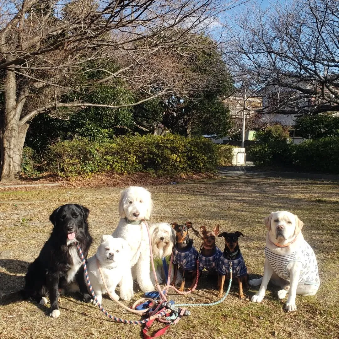 風もおさまって良いお天気になりました😊
