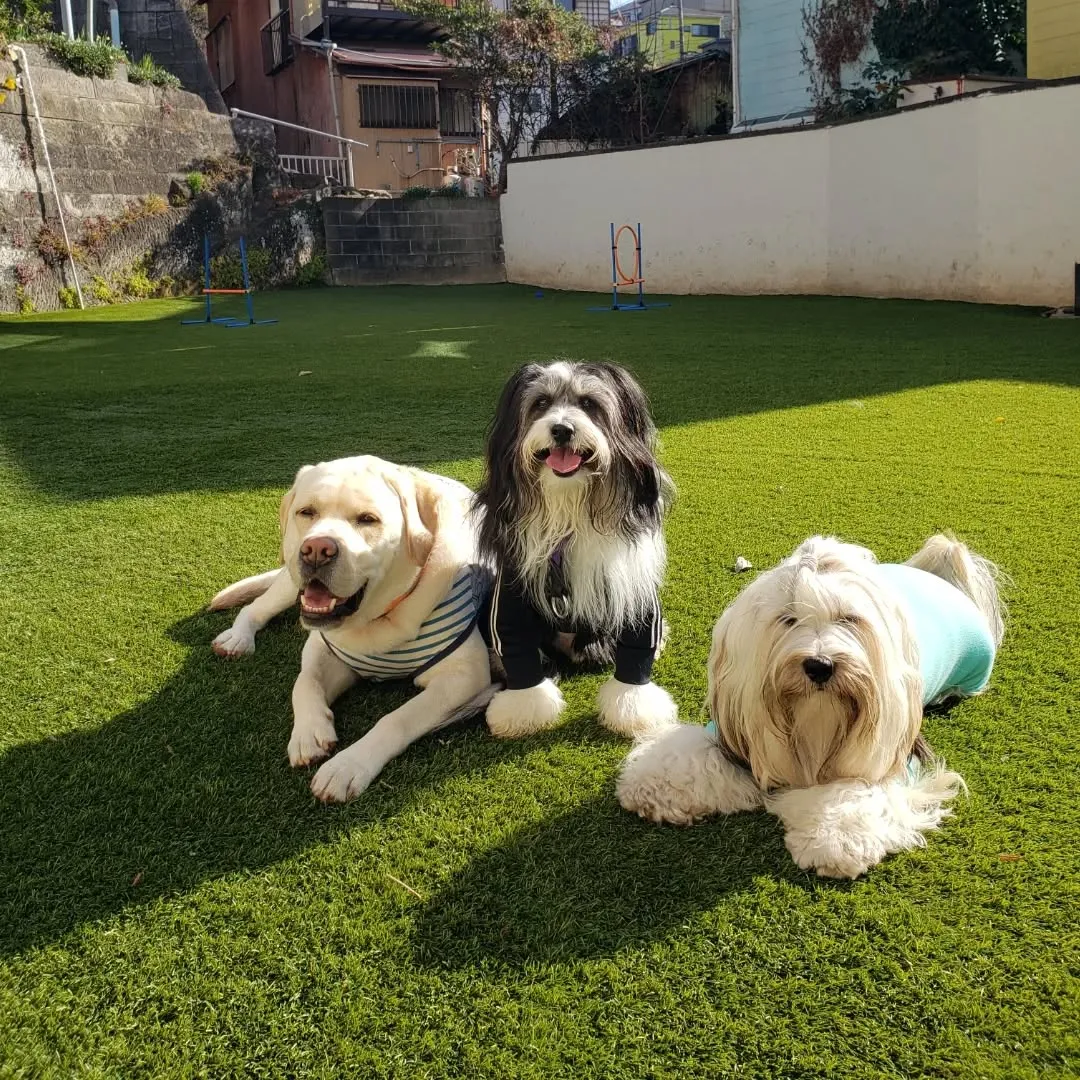 良いお天気であったかい😊